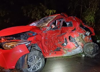 Condutora morre após colisão entre carro e caminhão na BR-116, em Antonina