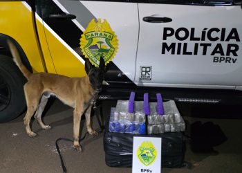 Mulher é presa com 18 kg de maconha em ônibus interestadual