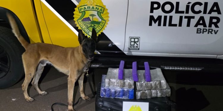 Mulher é presa com 18 kg de maconha em ônibus interestadual