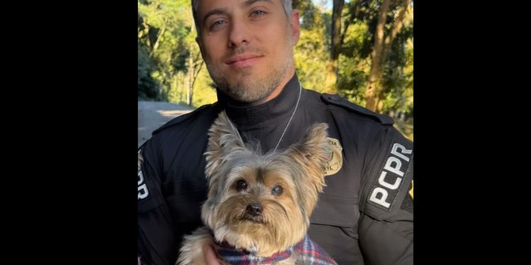 Polícia Civil resgata cãozinho que foi vítima de maus-tratos em Curitiba