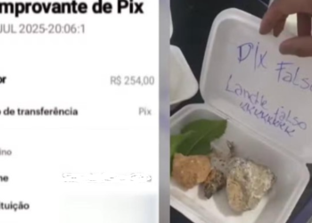 Golpe do PIX falso termina com “lanche” inusitado: comerciante envia pedra em resposta a tentativa de fraude