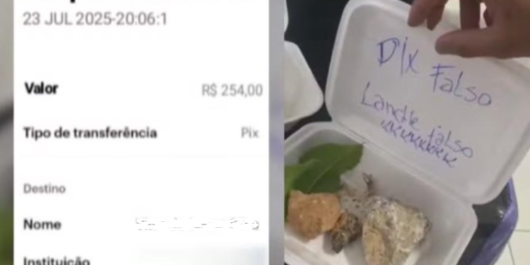 Golpe do PIX falso termina com “lanche” inusitado: comerciante envia pedra em resposta a tentativa de fraude