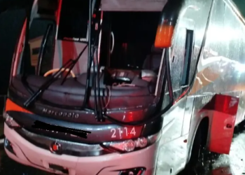 Motorista cai em fosso após ônibus bater em mureta de praça de pedágio desativada na BR-369