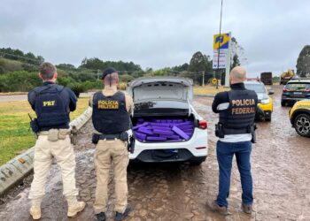 Polícia Rodoviária Federal, PF e PM apreendem mais de meia tonelada de Maconha