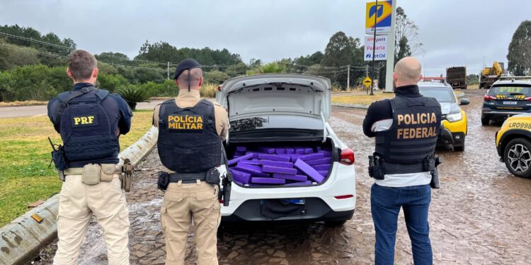 Polícia Rodoviária Federal, PF e PM apreendem mais de meia tonelada de Maconha