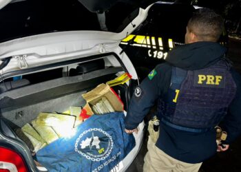 Menor é contratado para assumir posse de droga durante abordagem da PRF na BR-277, no Paraná