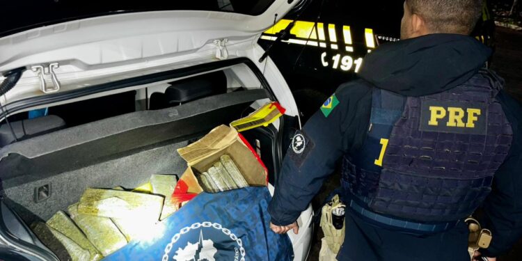 Menor é contratado para assumir posse de droga durante abordagem da PRF na BR-277, no Paraná