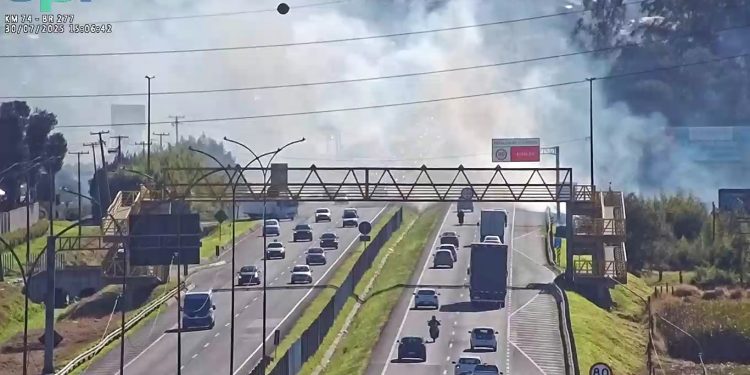 Incêndio às margens da BR-277 gera fumaça e prejudica visibilidade em São José dos Pinhais