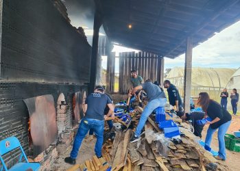 PCPR incinera cerca de 3,5 toneladas de drogas em São José dos Pinhais