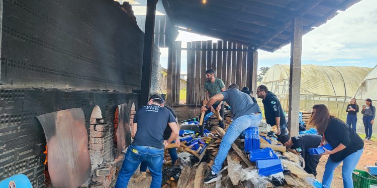 PCPR incinera cerca de 3,5 toneladas de drogas em São José dos Pinhais