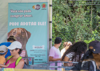 Amigo Bicho volta ao Parque Barigui neste sábado com 50 cães disponíveis para adoção
