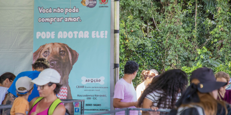 Amigo Bicho volta ao Parque Barigui neste sábado com 50 cães disponíveis para adoção