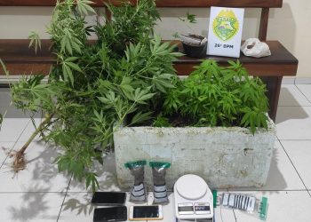 Polícia Militar apreende drogas e prende suspeito após ocorrência de disparo de arma de fogo