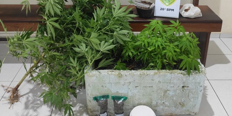 Polícia Militar apreende drogas e prende suspeito após ocorrência de disparo de arma de fogo