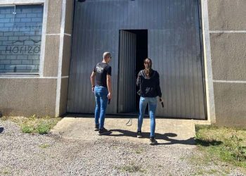 PCPR prende quatro pessoas de grupo que falsificava cervejas em barracão em Quatro Barras