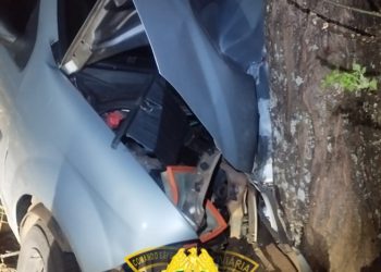 Condutora morre após colisão contra árvore na PR-160