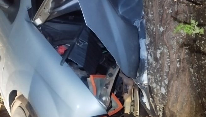 Condutora morre após colisão contra árvore na PR-160