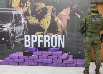 Jovem de 18 anos é abordada em carro e BPFRON encontra 395 kg de maconha