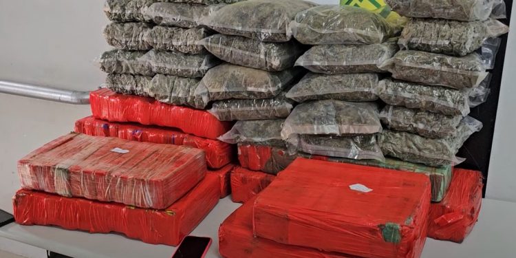 Polícia Militar apreende 122 kg de maconha e prende indivíduo no Tatuquara