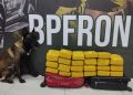 Com auxílio de cão farejador, BPFRON encontra malas com maconha em ônibus e adolescente é apreendido