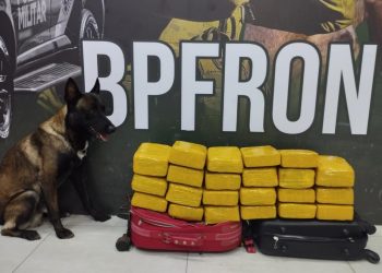 Com auxílio de cão farejador, BPFRON encontra malas com maconha em ônibus e adolescente é apreendido
