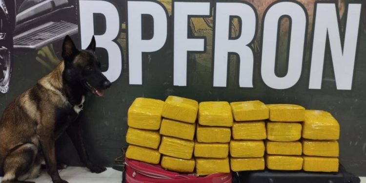 Com auxílio de cão farejador, BPFRON encontra malas com maconha em ônibus e adolescente é apreendido