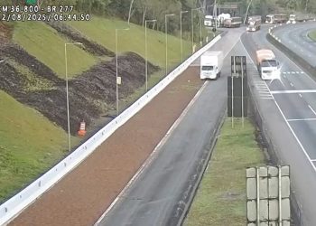 Área de escape da BR-277 chega à marca de 100 vidas salvas