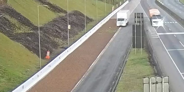 Área de escape da BR-277 chega à marca de 100 vidas salvas