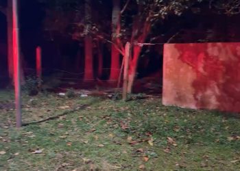 Corpo de jovem é encontrado em região de mata em Araucária