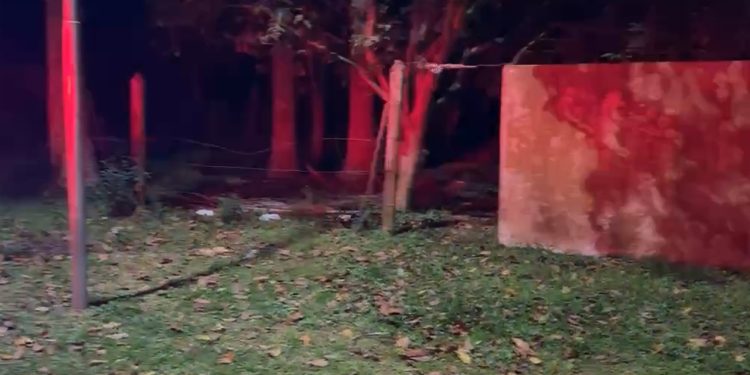 Corpo de jovem é encontrado em região de mata em Araucária