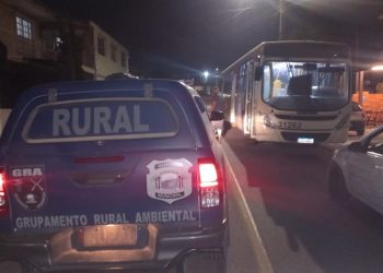 Indivíduo furta ônibus em terminal da RMC, colide em veículos estacionados e acaba preso