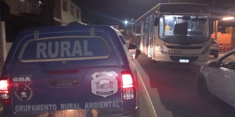 Indivíduo furta ônibus em terminal da RMC, colide em veículos estacionados e acaba preso