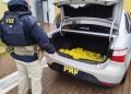 PRF apreende quase 200 kg de maconha em Cascavel