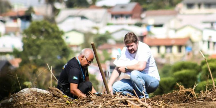 Ossada é encontrada durante obras de ampliação do Contorno Norte em Colombo