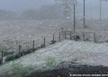 Rio Grande do Sul registra neve em algumas localidades