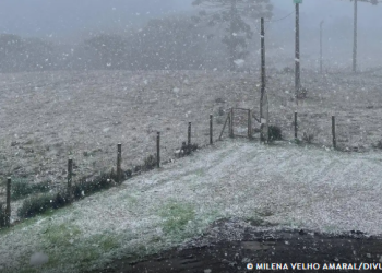 Rio Grande do Sul registra neve em algumas localidades