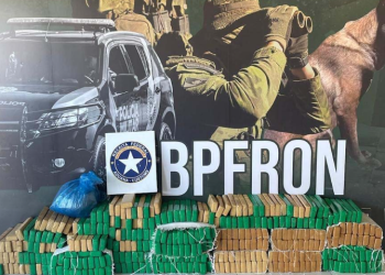 PMPR apreende 950 quilos de maconha no fim de semana, com prejuízo milionário ao tráfico