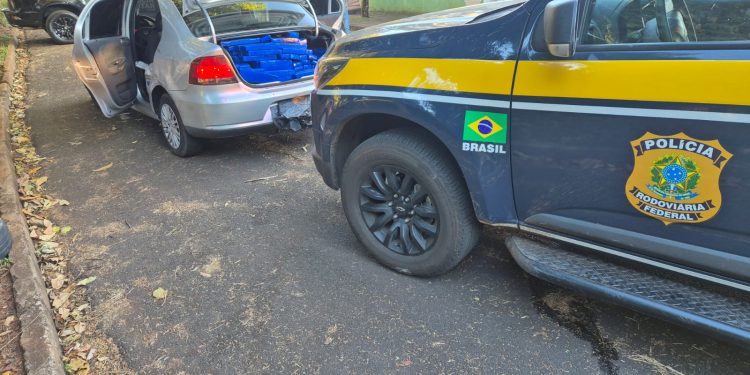 Perseguição de 15 km termina com apreensão de mais de 350 kg de maconha e skunk