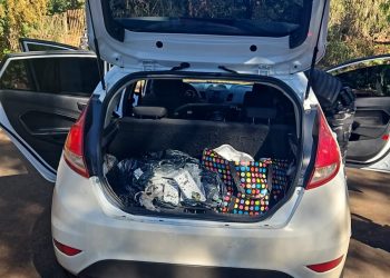 Casal é preso com 70 kg de maconha após perseguição policial, no Paraná