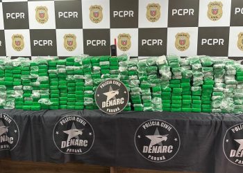 Com 25 anos de atuação, Denarc causou prejuízo de mais de R$ 90 milhões ao tráfico no primeiro semestre de 2025