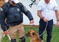 Ação da Polícia ajuda cachorro a voltar para casa