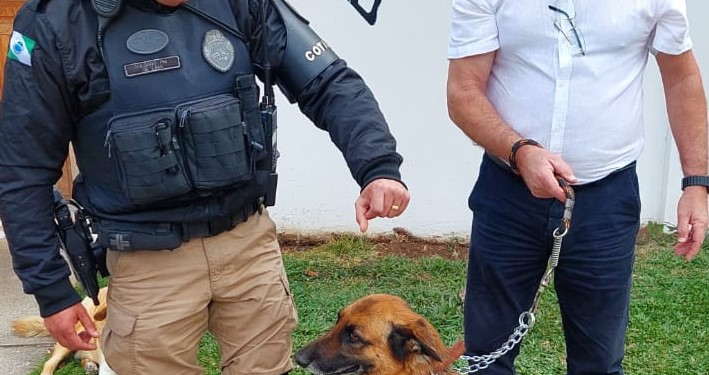 Ação da Polícia ajuda cachorro a voltar para casa