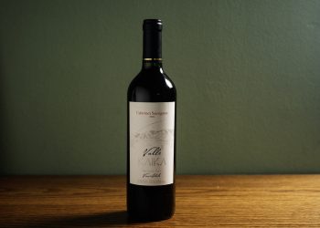 Shopping Curitiba celebra o Dia dos Pais com vinho chileno e ação solidária