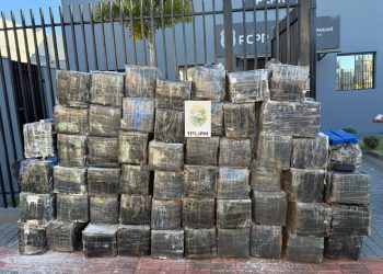 PMPR apreende 1,3 tonelada de maconha escondida em carga de farinha de trigo