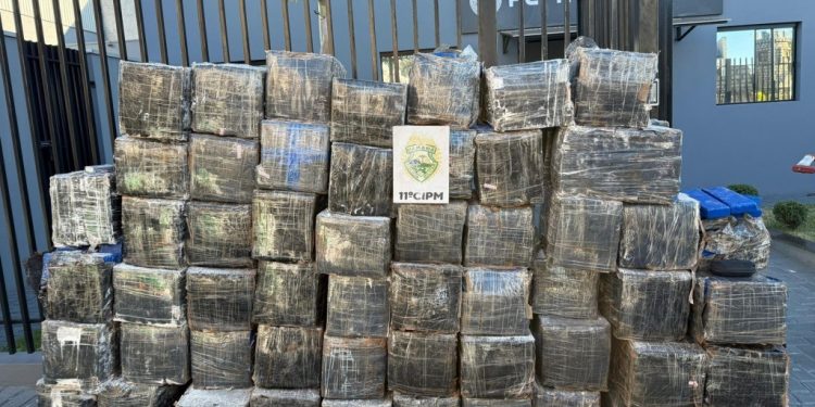 PMPR apreende 1,3 tonelada de maconha escondida em carga de farinha de trigo