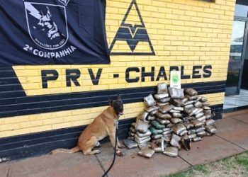 PMPR apreende mais de 76 kg de maconha escondidos em pneus de caminhão no Norte do Paraná