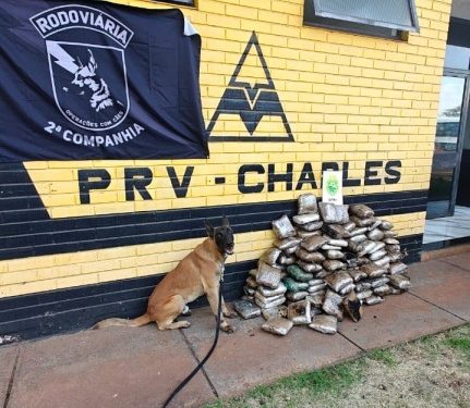 PMPR apreende mais de 76 kg de maconha escondidos em pneus de caminhão no Norte do Paraná