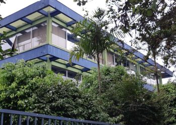 IAT alerta para golpe com cobranças de multas ambientais falsas por WhatsApp