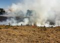 Bombeiros alertam: fogo em terrenos baldios pode causar grandes incêndios