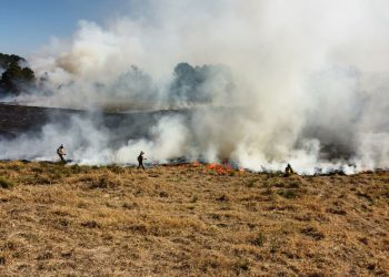 Bombeiros alertam: fogo em terrenos baldios pode causar grandes incêndios